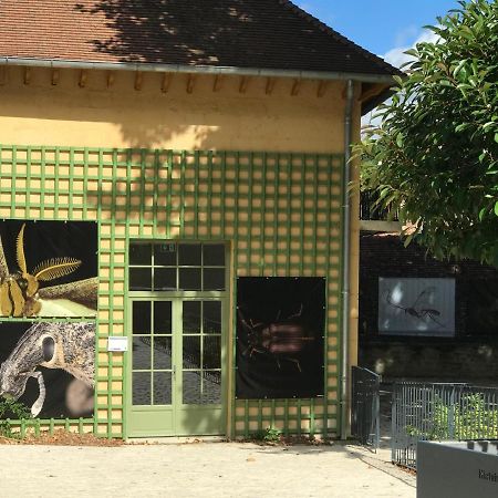 Charmante Maison Bourguignonne Avec Grand Jardin Et Parking Montbard Kültér fotó